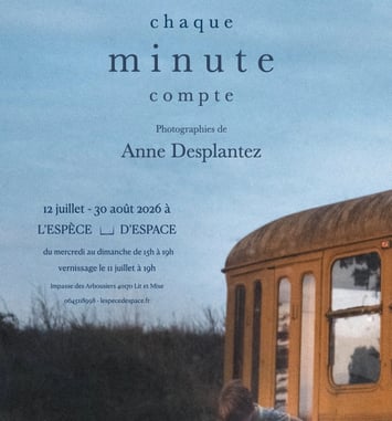 Exposition Anne Desplantez