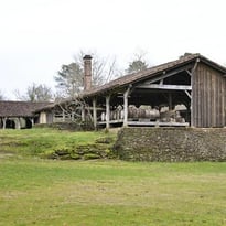 Visite commentée d'un ancien atelier de distillation de la gemme récemment rénové