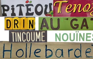 Conférence : les lieux-dits de Léon, origine des noms gascons et anecdotes vécues