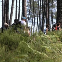 Randonnée commentée "Le Moulin de Binaou"