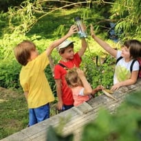 Terra Aventura : « Dis-moi des mots d'Amou »