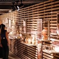 Visite libre : parcours du site antique