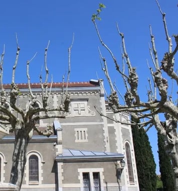 Visite commentée de l'église de Pomarez