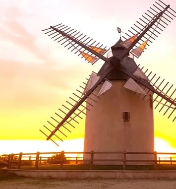 [Exposition] Moulin de Bénesse-lès-Dax : la renaissance de l'unique moulin à vent des Landes