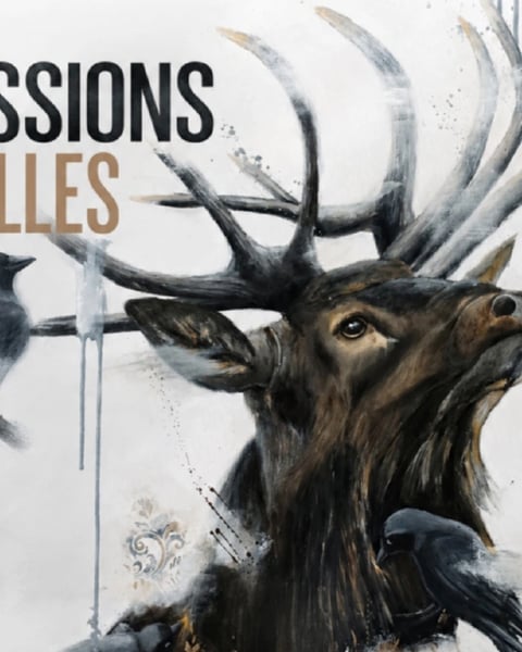 Exposition "Expression naturelles"