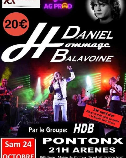 Groupe HDB, hommage à Daniel Balavoine