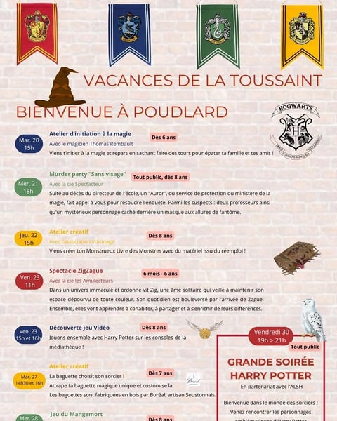 Bienvenue à Poudlard: Spectacle ZigZague