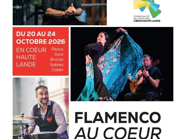 Arte Flamenco au cœur // Spectacle