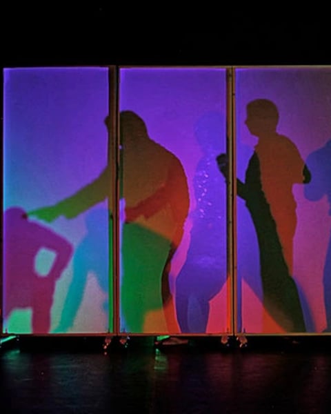 Cie Androphyne « On verra ! » - Le Mois de la Danse